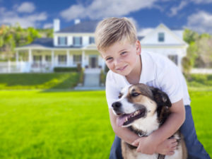 homeowners insurance